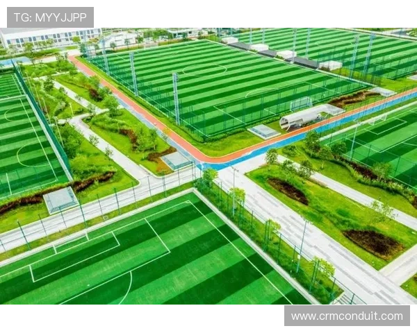 凯发体育注册中心官网网址官方入口查询，快速找到正规登录网址的方法