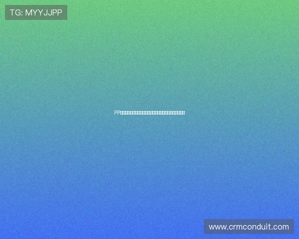 PP电子游戏平台安全可靠保障玩家隐私与资金安全的最佳选择